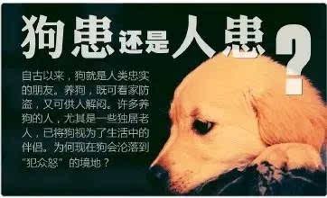 男子被狗咬打伤女主人 被判60%责任