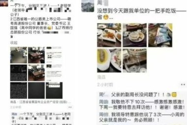 调查组核实黄杨钿甜天价耳环是仿品
