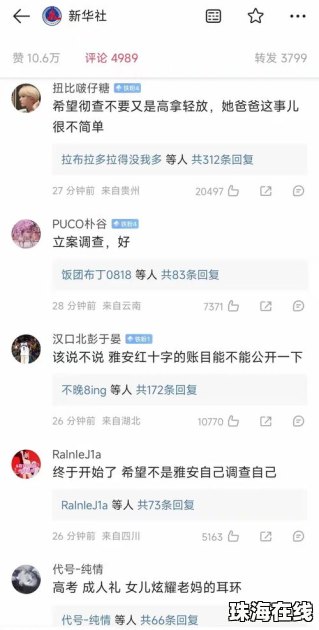 调查组核实黄杨钿甜天价耳环是仿品