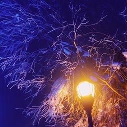 怎么拍雪山华为手机