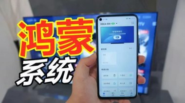 怎么加入华为手机团队