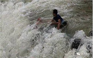 游客拍照不慎将孩子撞落水 众人救援