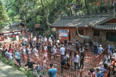 乐山大佛热到休假了