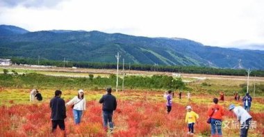 文旅局回应袁姗姗在哀牢山拍摄