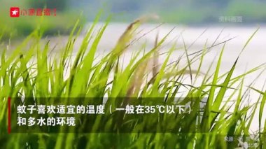 今年蚊子不是变少了只是热“懒”了