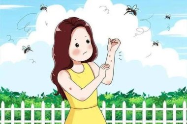 今年蚊子不是变少了只是热“懒”了