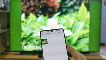 华为手机怎么延迟视频