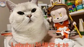 费翔收到全球限定款LABUBU