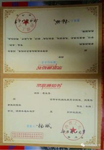 孙颖莎被印在了EMS录取通知书封面
