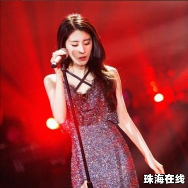 知名歌手甄妮坐飞机行李箱被盗