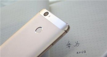 华为手机怎么什么型号