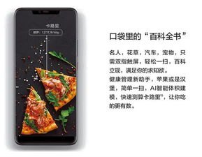 华为手机怎么测试卡路里