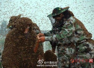 55岁男子挑战骑行至海南途中离世