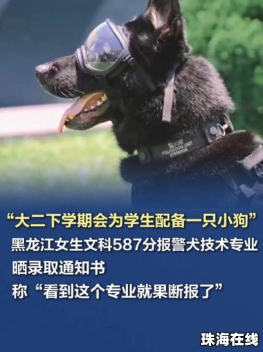 #现场直击台风韦帕登陆#