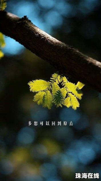 华为手机桌面原点怎么