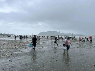 “韦帕”过境广东一海滩遍地海鲜