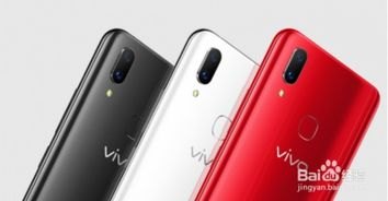华为手机和vivo手机怎么选