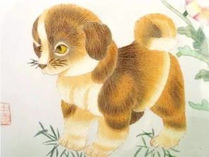 华为手机桌面怎么彩色 华为手机桌面怎么彩色