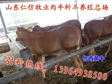 3月赚94万 北京一黄牛获刑10个月