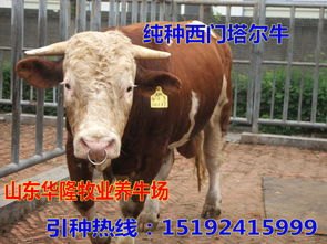 3月赚94万 北京一黄牛获刑10个月