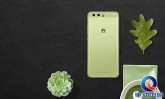 华为手机怎么拍绿色