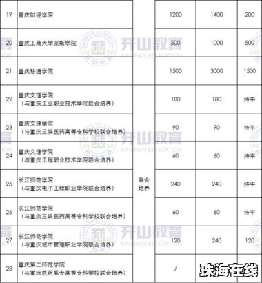 “本升专”的年轻人 比想象中清醒