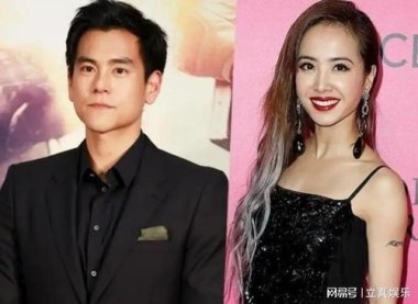 与彭于晏已复合6年？蔡依林回应