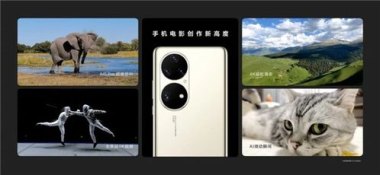 华为手机怎么拍宠物