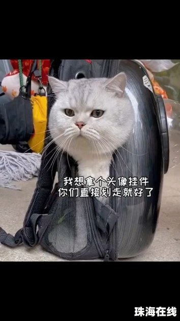 华为手机怎么桌面挂件 华为手机怎么桌面挂件