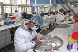 选矿工称不参观实习毕业设计难完成