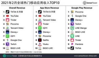 TikTok去年收入230亿美元
