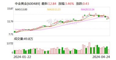 中金黄金市值蒸发34亿 子公司曾被罚