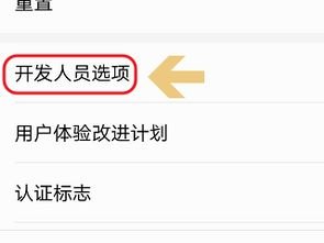 华为手机怎么解锁gpu