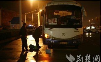 男子打砸车辆 警方：其未持有爆炸物