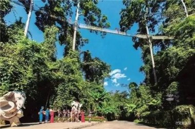 中华穿山甲首现流溪河国家森林公园