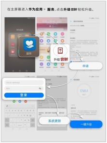 华为手机9.1怎么升级