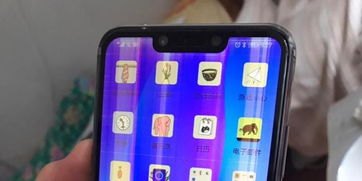 华为手机怎么拍卖猫