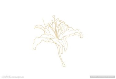 华为手机怎么画花