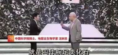 《年轮》原唱之争密密麻麻是谁的自尊