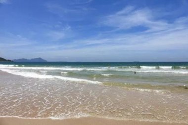 深圳一海滩现“作弊式”赶海
