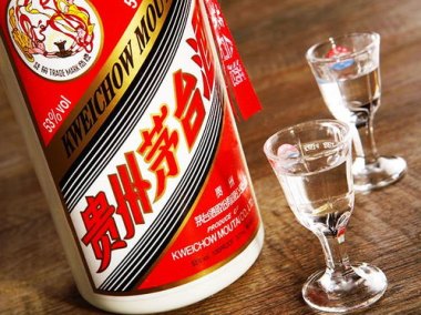 48元一杯的茅台酒惹了谁 48元一杯的茅台酒惹了谁