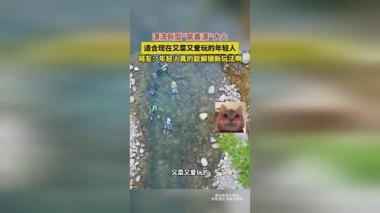 “窝囊旅游”为啥这么火