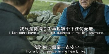 “窝囊旅游”为啥这么火