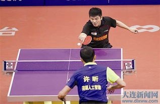 樊振东乒超获个人13连胜