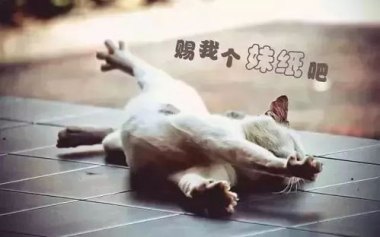 洽洽靠山姆卖掉了2亿