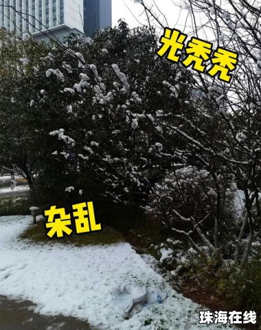 雪景华为手机怎么拍摄