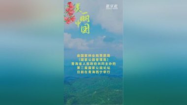 万物共生 中国主张