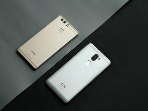 华为手机照片怎么双份
