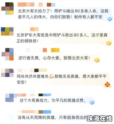 “害怕这俩字 在脑海里就没有过”