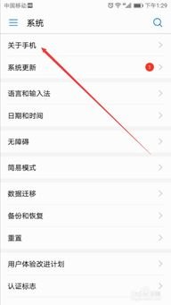 华为手机怎么查看手机ip地址